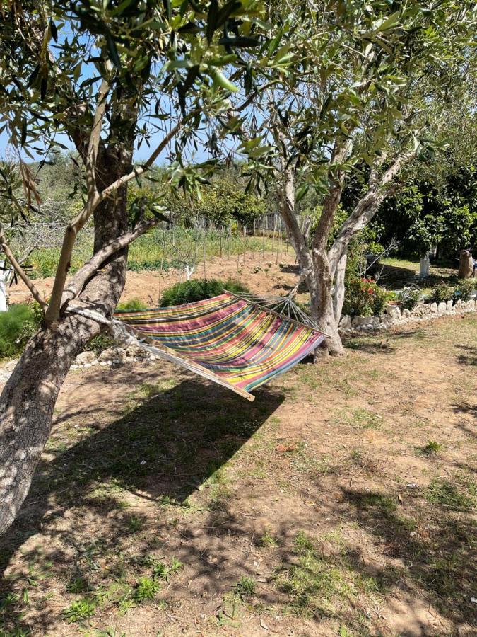 فيلا Antigone'S Garden Halikounas المظهر الخارجي الصورة